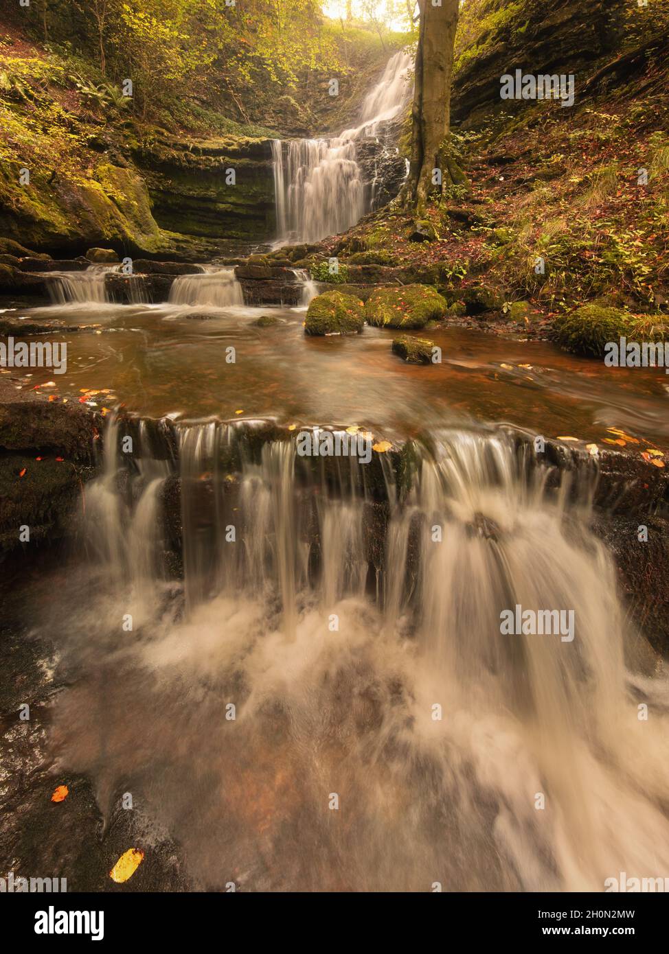 Scaleber Force, North Yorkshire in Autumn Stock Photo