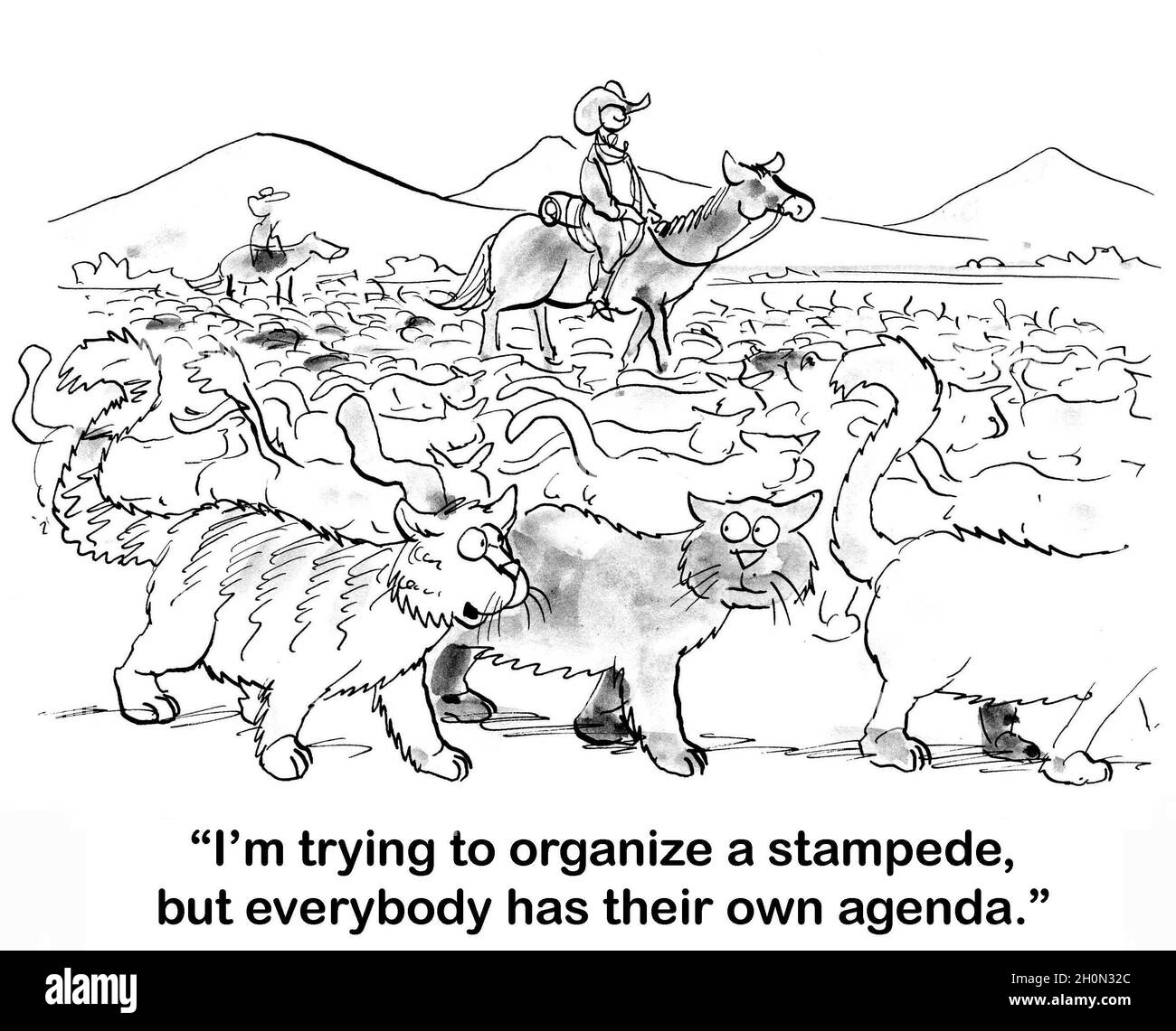Cat cannot organize stampede Stock Photo