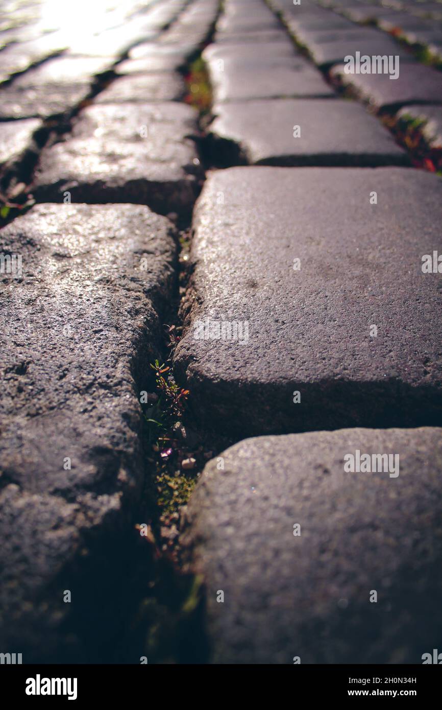 cobblestone, stone pavement texture in the city Stock Photo - Alamy