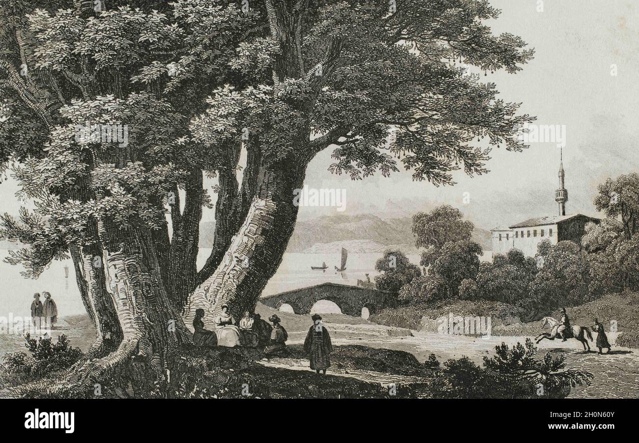Ottoman Empire. Turkey. 40 plane trees of Godfrey of Bouillon. Prairie ...