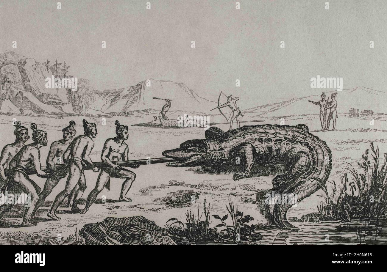 16th century French expedition. Florida. Crocodile hunting. In the expedition Jacques Le Moyne de Morgues (1533-1588) made the illustrations. 19th cen Stock Photo