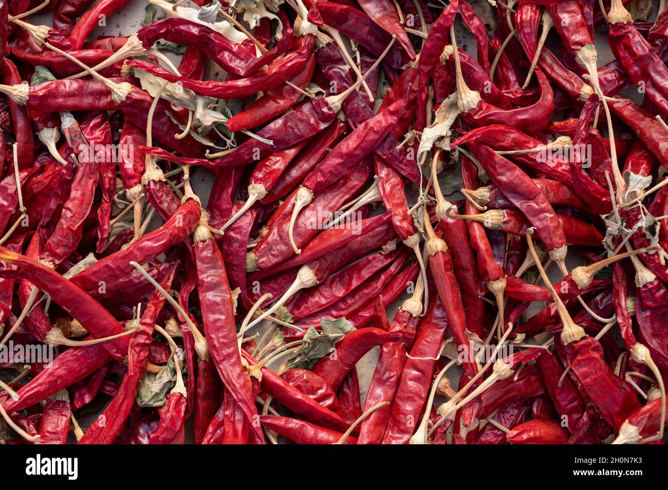 Food background with many dried red hot chili peppers Stock Photo - Alamy