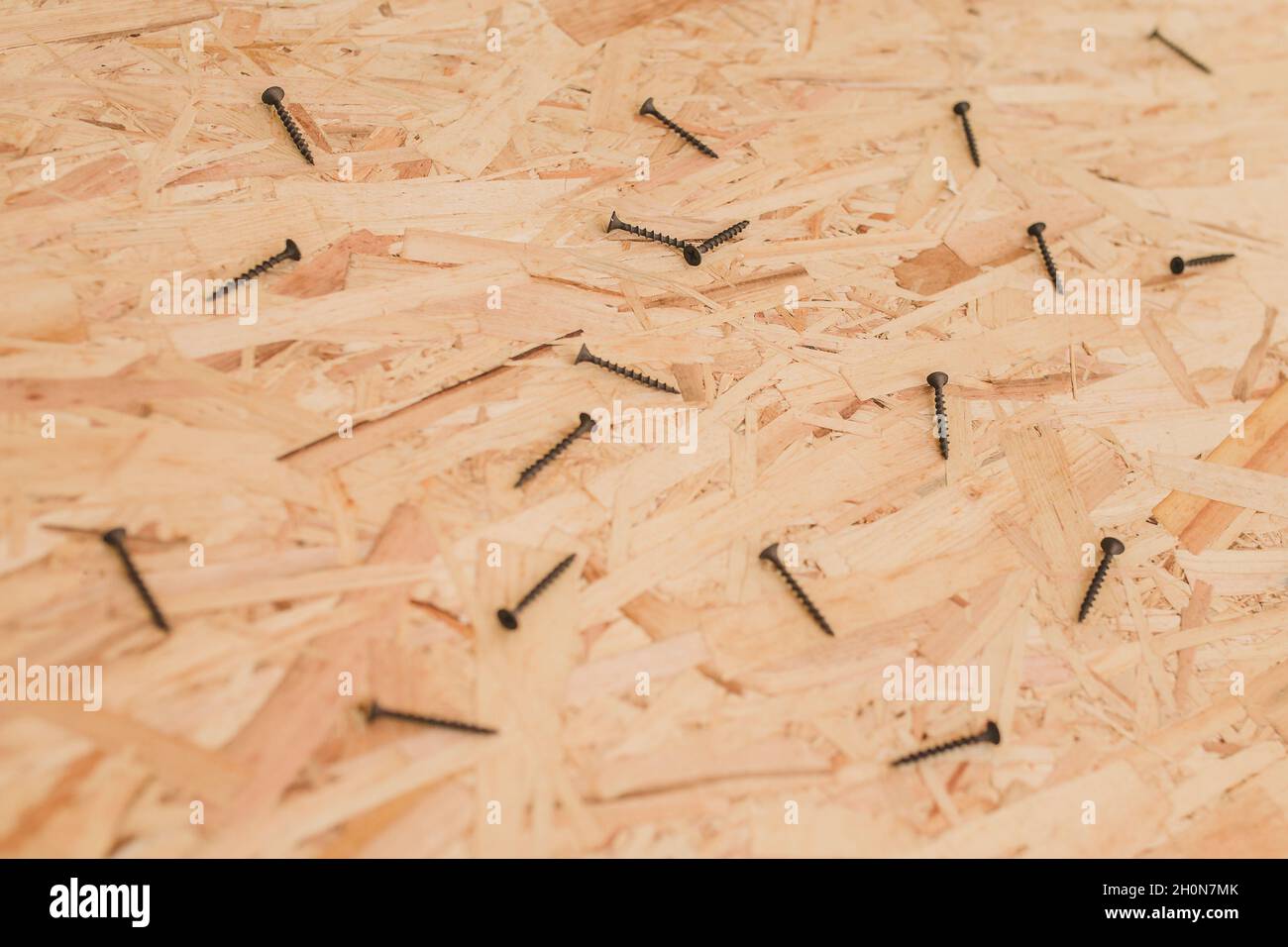 Selftapping screws on the osb sheet decoration and repair backdrop