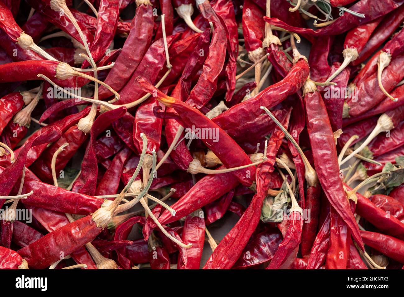 Food background with many dried red hot chili peppers Stock Photo - Alamy