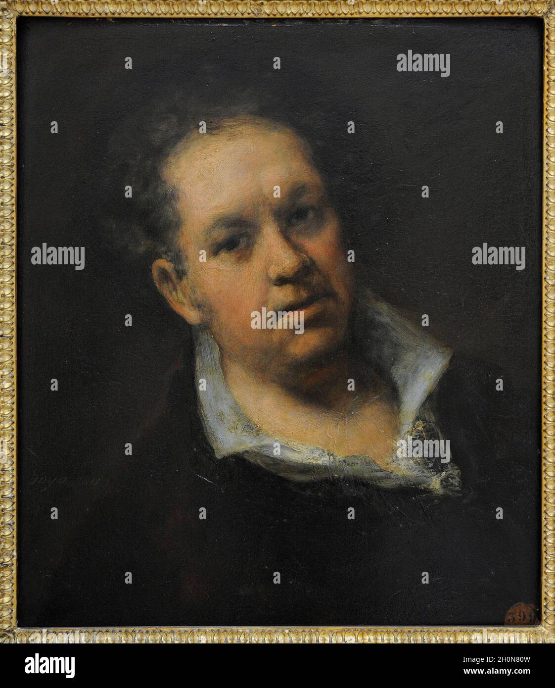 My Image 20