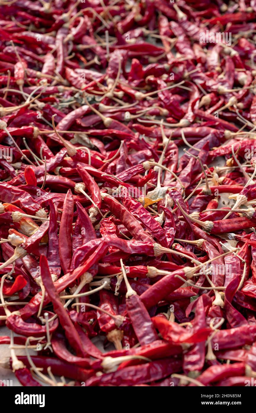 Food background with many dried red hot chili peppers Stock Photo - Alamy