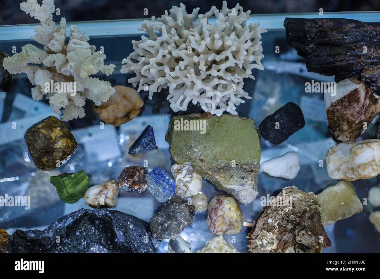 Precious, rare and distinctive stones are displayed in an exhibition at ...
