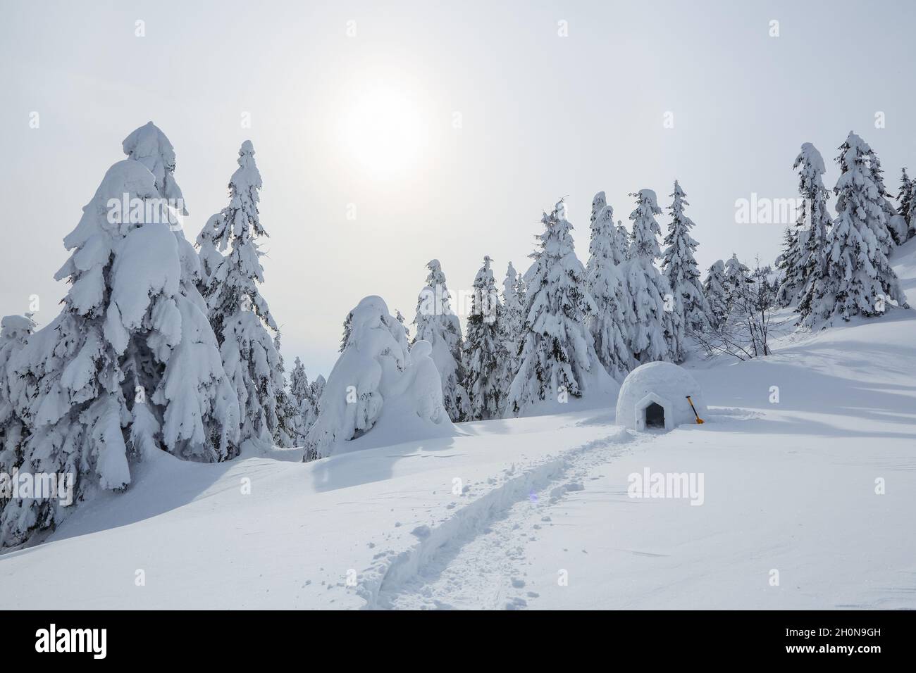The wide trail leads to the snowy igloo. Winter mountain landscapes. Location place the Carpathian Mountains, Ukraine, Europe. Stock Photo