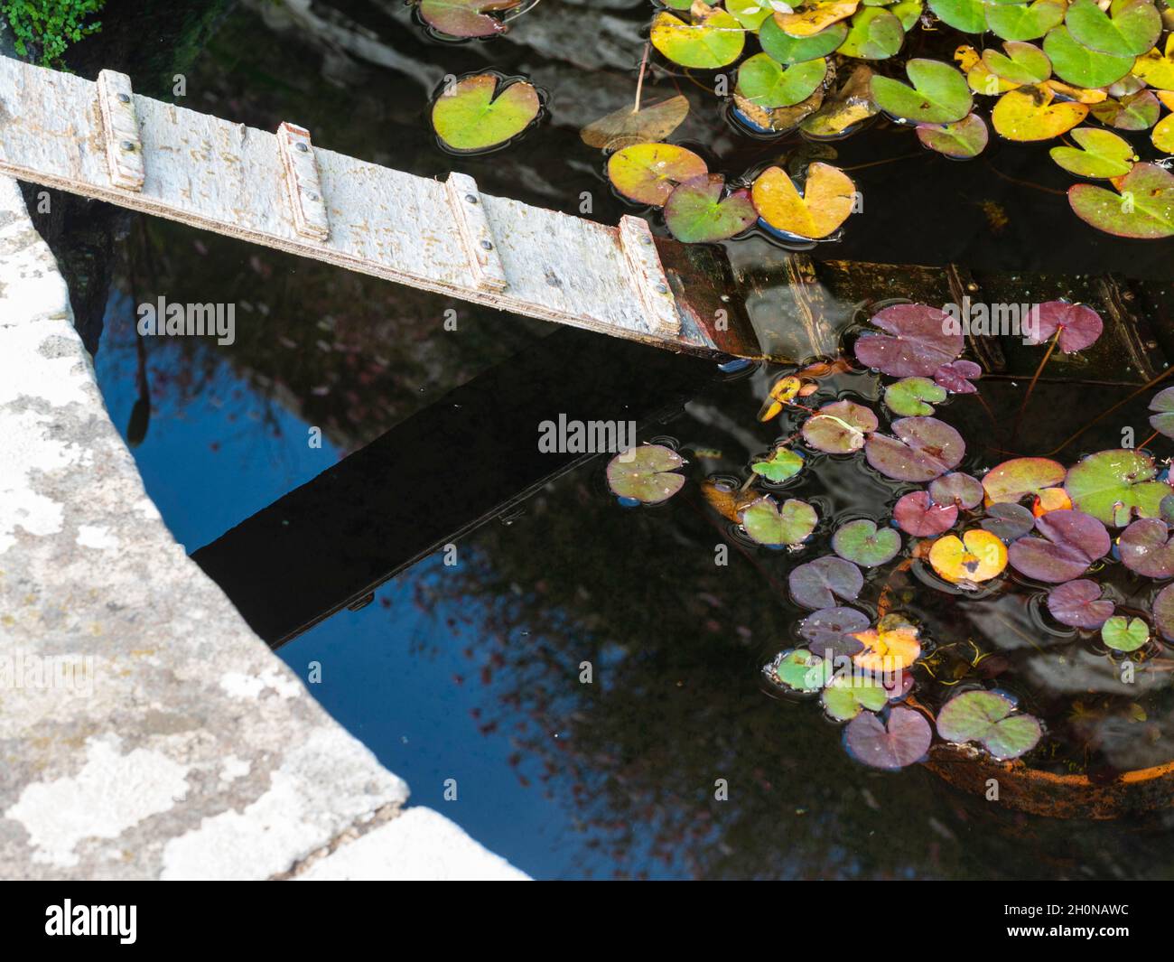 Pond ramp hi-res stock photography and images - Alamy