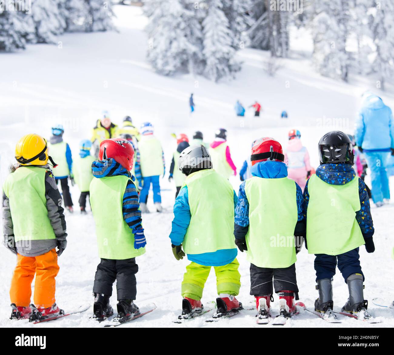 Group of small kids with helmets and vests standing on skis and learning basic skills for skiing at polygon Stock Photo