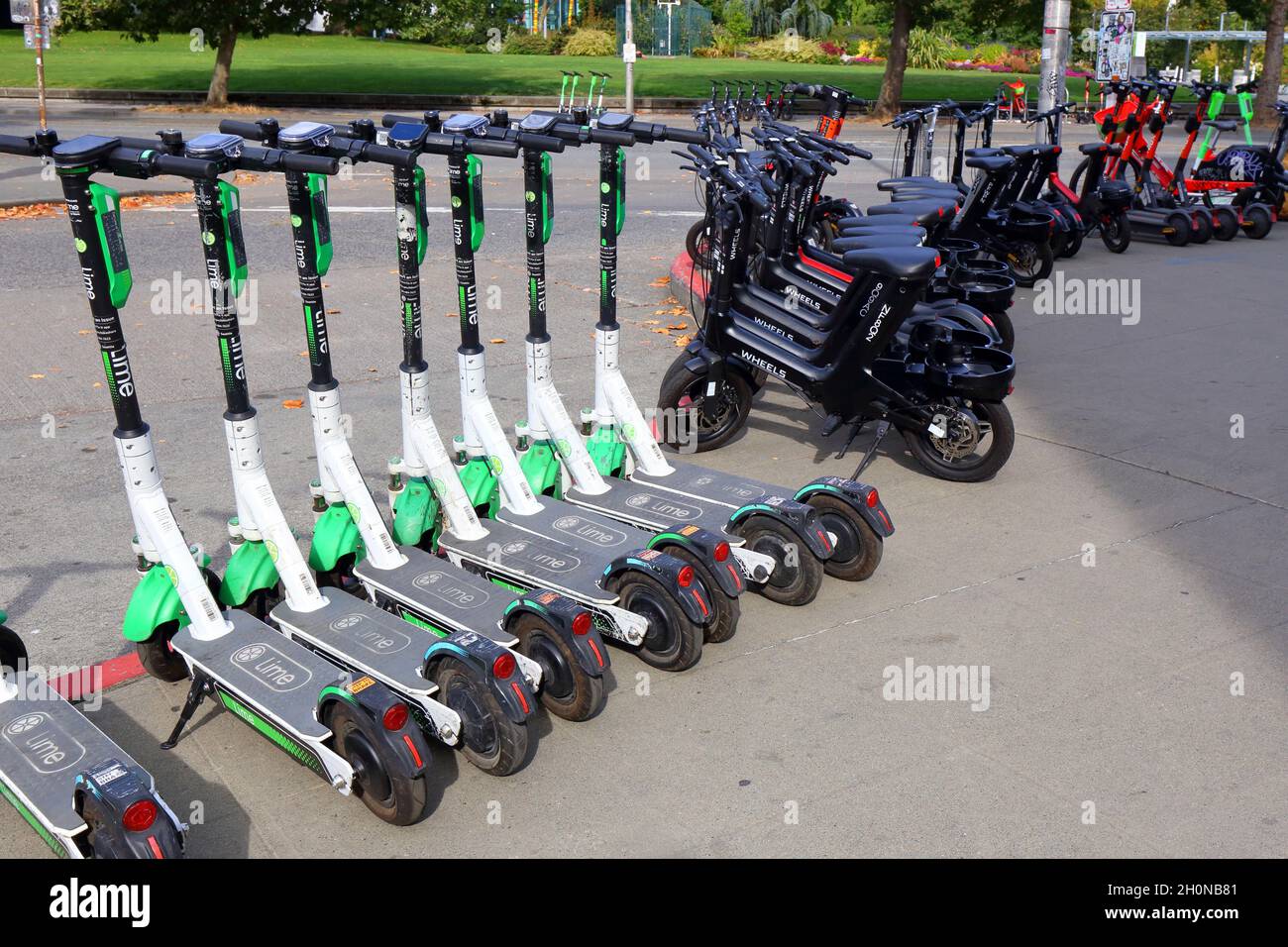 Dozens of rental e-scooters and e-bikes lined up on a Seattle sidewalk offering Lime e-scooters, Wheels rental e-bikes, and Spin e-scooters. Stock Photo