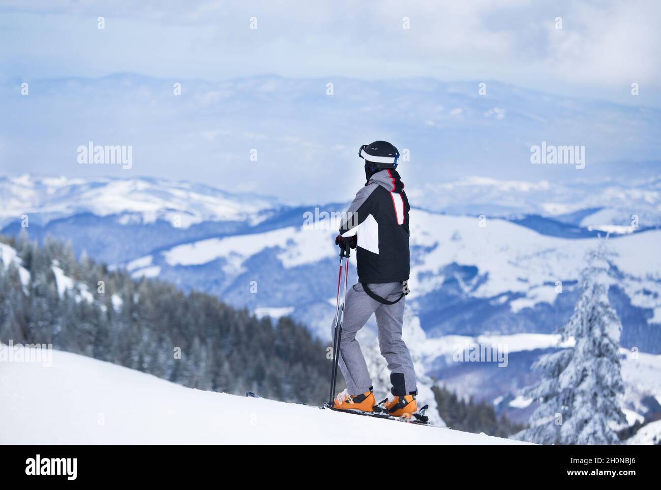 Rear view of man on ski resting and enjoying view of mountains and trees with snow. Winter recreation on holiday Stock Photo