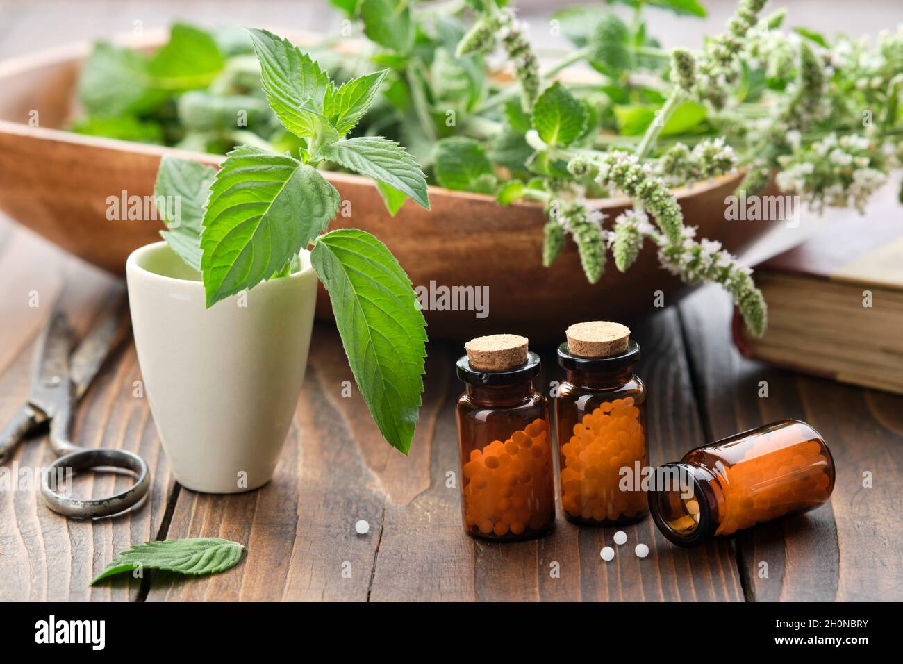 Bottles of homeopathy granules. Homeopathic remedies. Mentha piperita