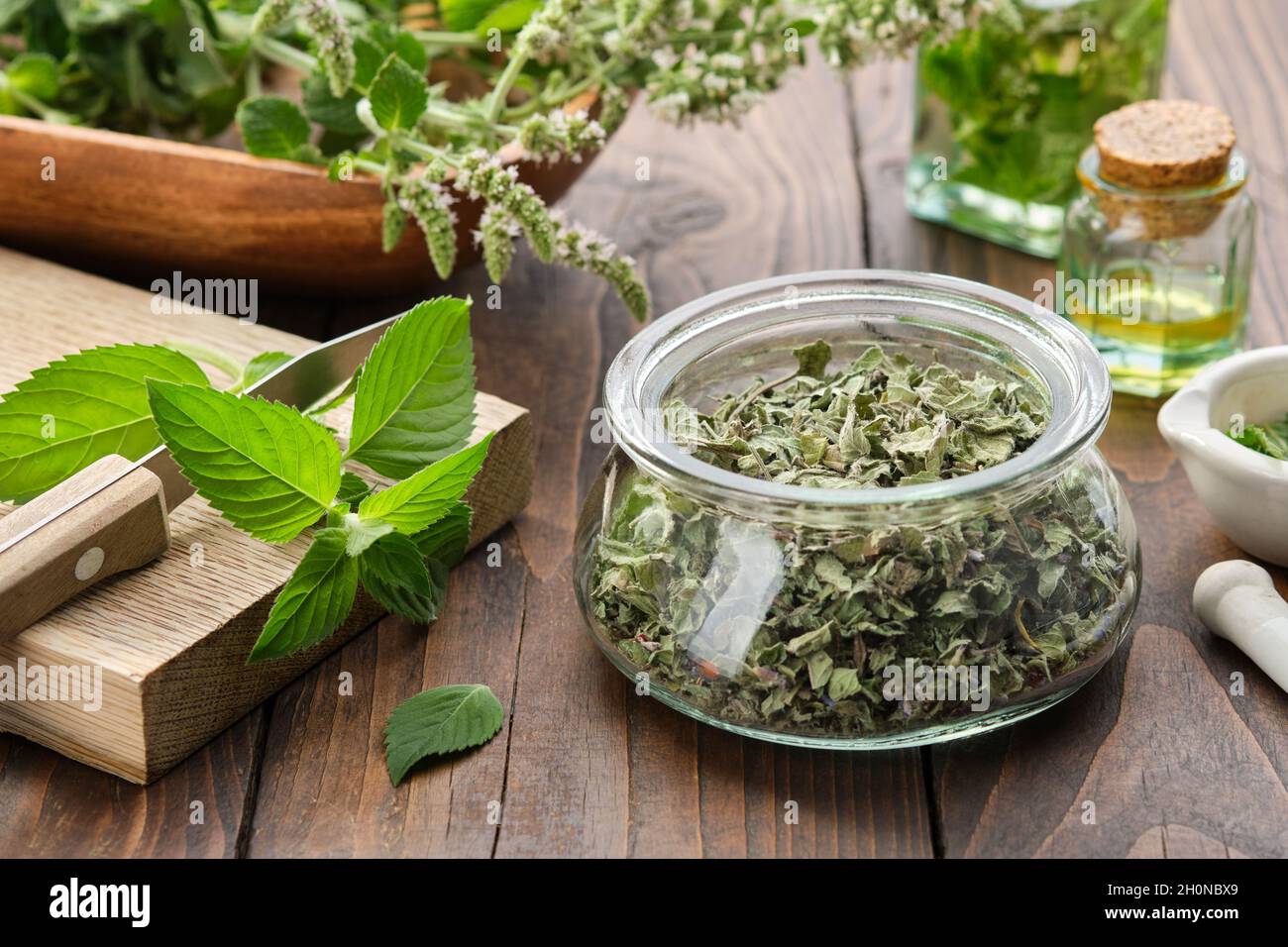 Jar of dried mint leaves. Fresh peppermint leaves on a cutting board. Blossom Mentha piperita medicinal plants, bottles of mint essential oil and infu Stock Photo