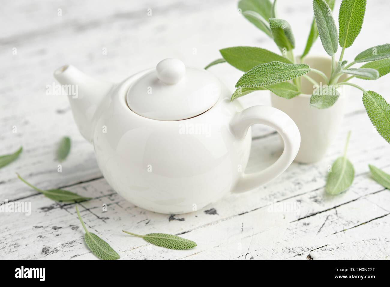 Tea kettle of healthy sage herbal tea, fresh green leaves of salvia officinalis medicinal herb on white wooden table. Stock Photo