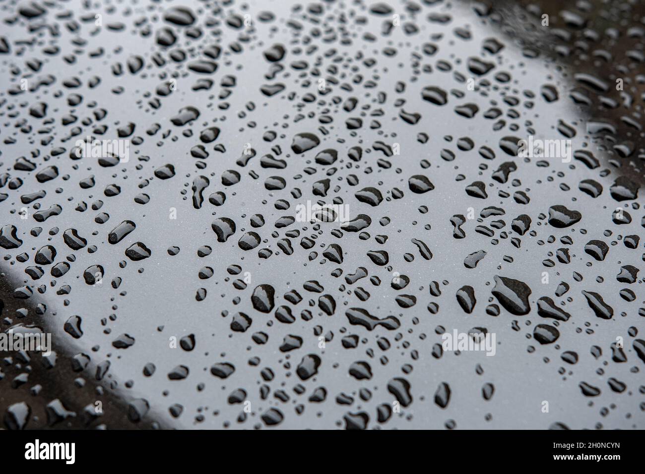 Water drops after rain on black metalic background. Stock Photo