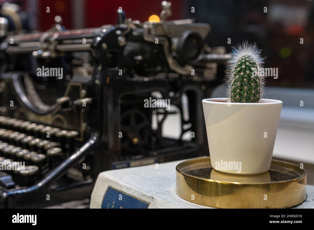 Cactus in a pot on an old typewriter background. Stock Photo