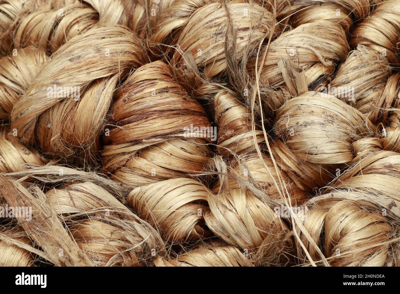 Thick brown bundle of raw jute fiber Stock Photo