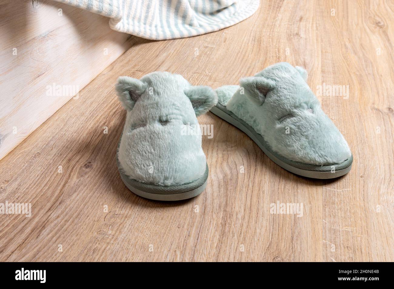 Blue soft fleece cozy slippers on the brown floor in the bedroom. Cat face slippers for cold winter season. Funny comfy home shoes front view. Stock Photo