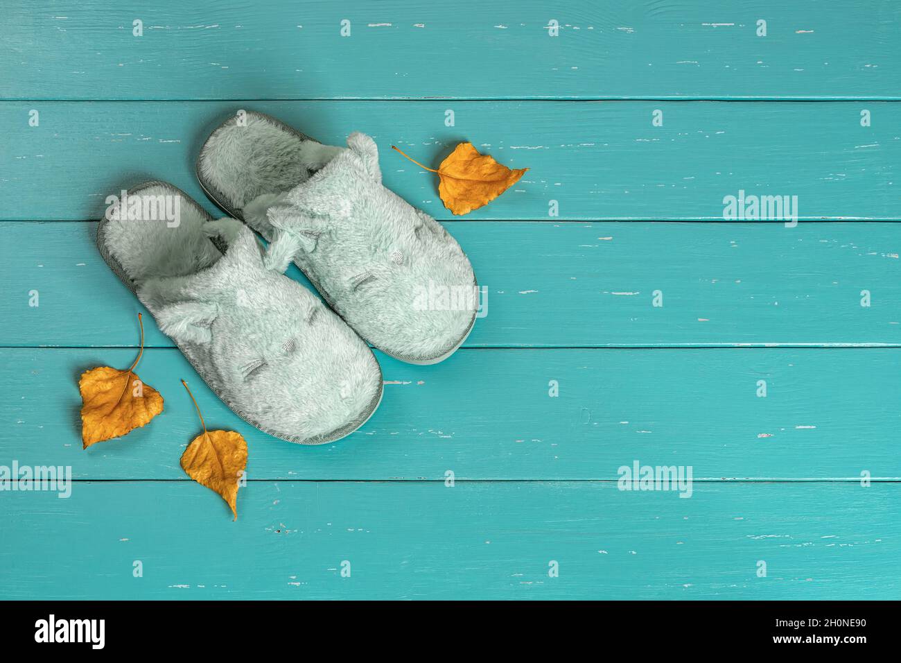 Funny light blue cat face slippers and few dry yellow autumn leaves over turquoise wooden surface. New cozy domestic footwear for cold season. Stock Photo