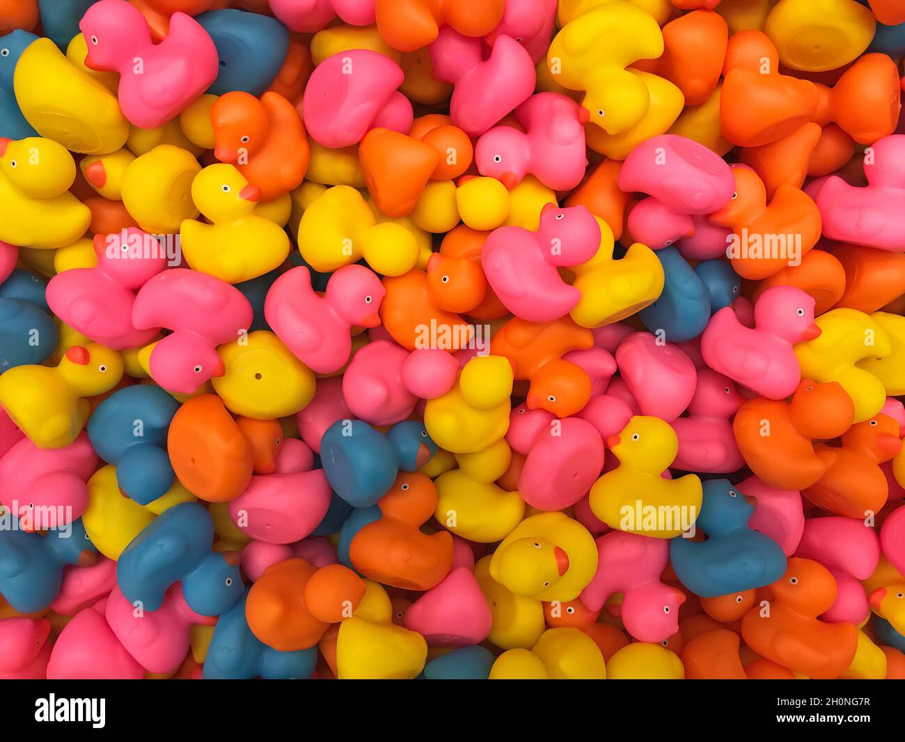 Creative background with colorful rubber ducks. Minimal holiday concept. Stock Photo