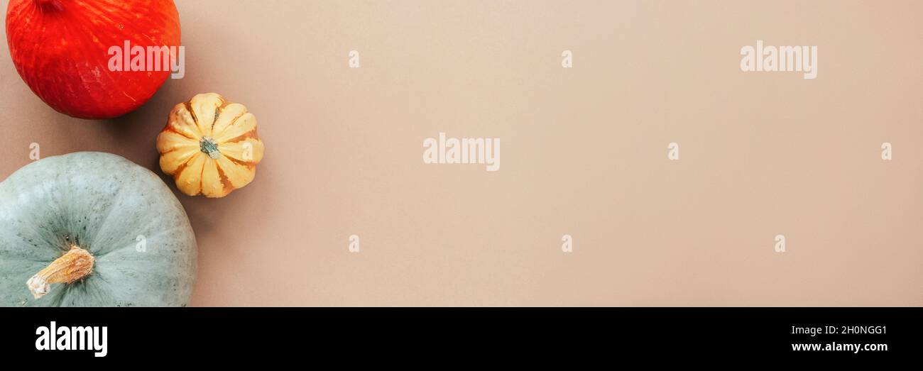 Three multi-colored pumpkins on beige background. Top view, flat lay, copy space Stock Photo