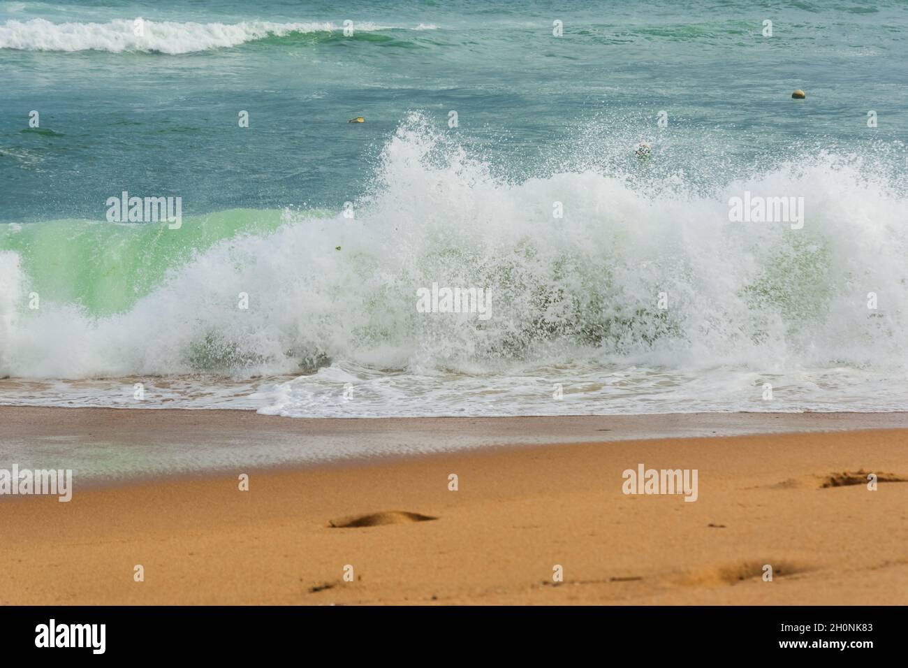 Reversible Rio Waves