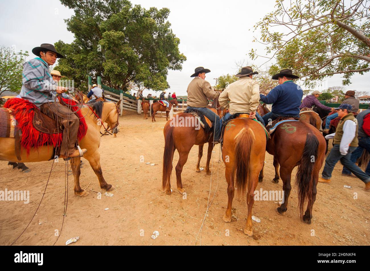 Rodeo is a traditional event in Bonito, Mato Grosso do Sul, Brazil ...