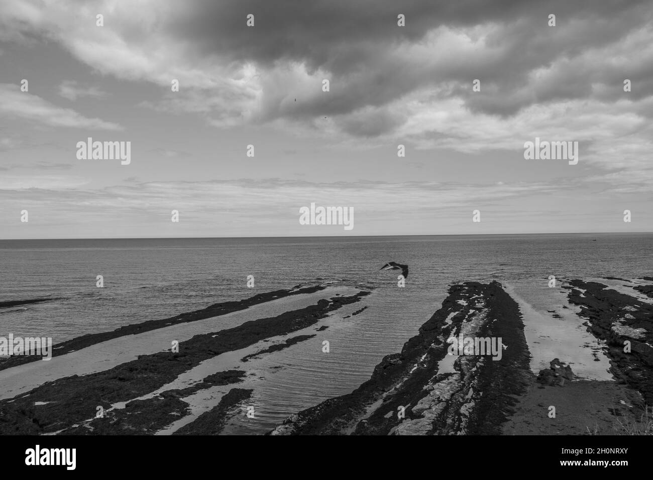 Bird's Eye View Of Beautiful And Cloudy With Filey Brigg Country Park 