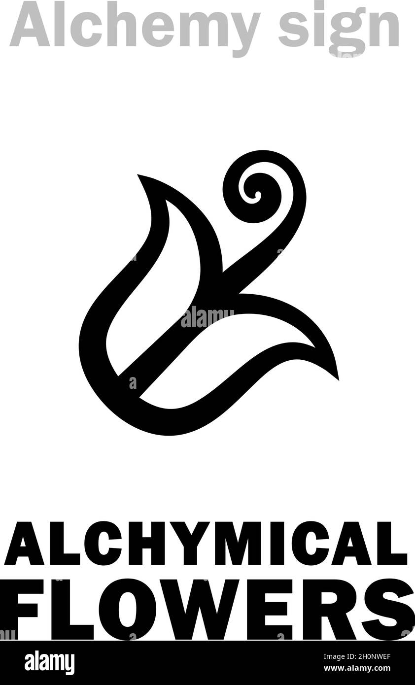 Alchemy Alphabet: Alchymical FLOWERS (Flōres Alchymici) — A sublimate, crystalline form of substance (e.g.: radial crystals of salts, metals, etc.). Stock Vector