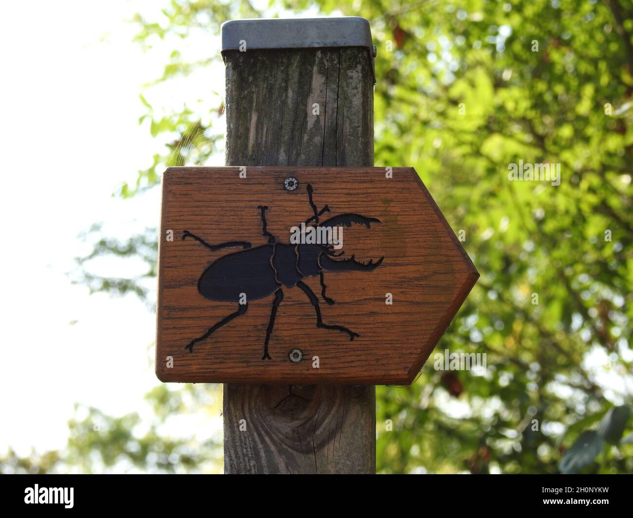 Insect Sign Insect sign hi-res stock photography and images - Alamy