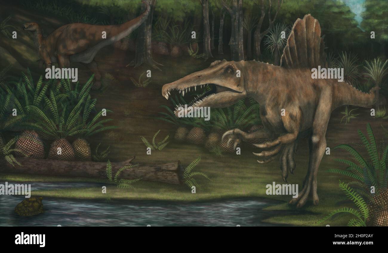 Illustration Spinosaurus and iguanodon, prehistoric landscape, cretaceus predator. Stock Photo