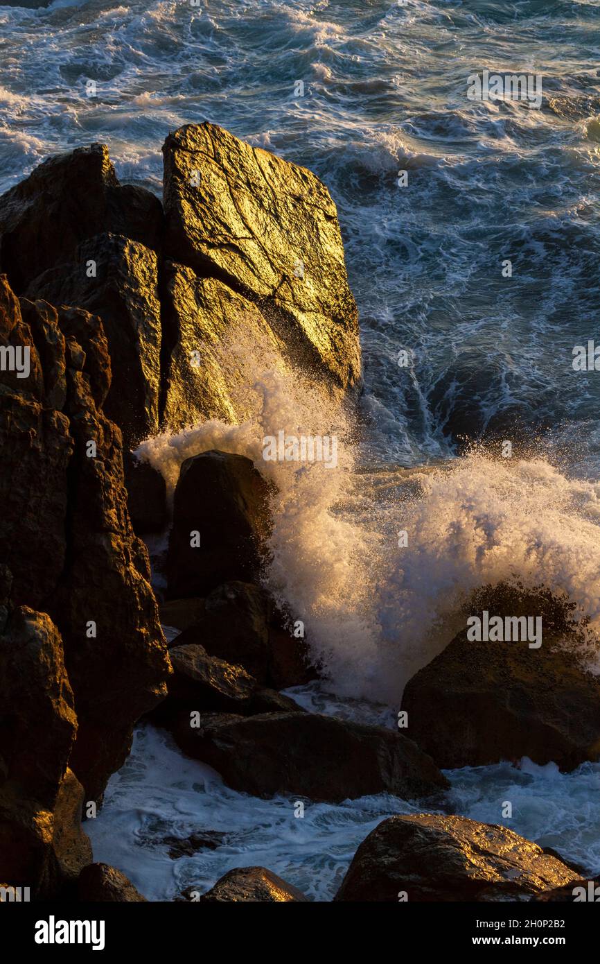Morning light shines on boulders as waves crash against them. Stock Photo