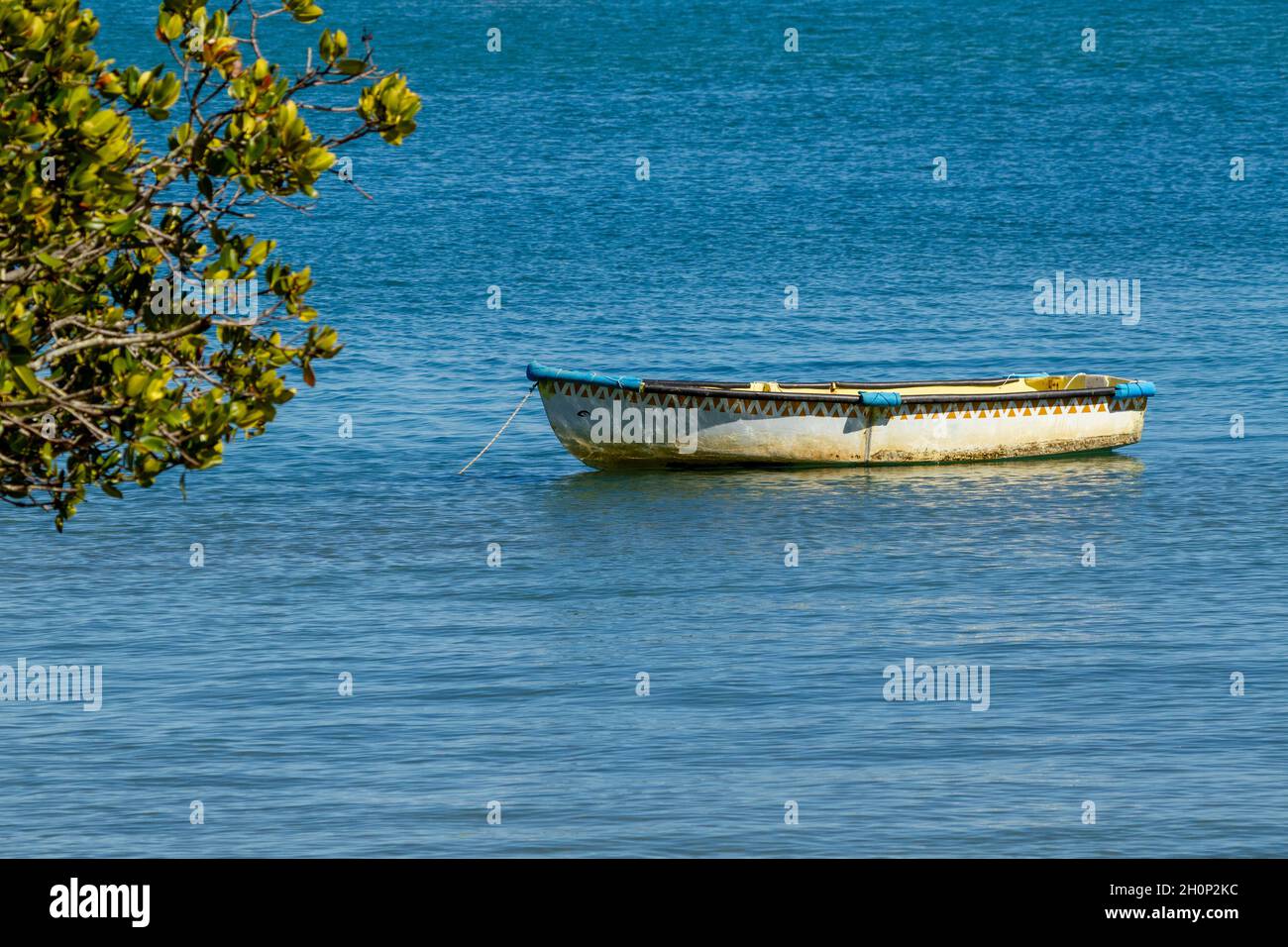 Row boat dinghy anchored under a tree. Stock Photo
