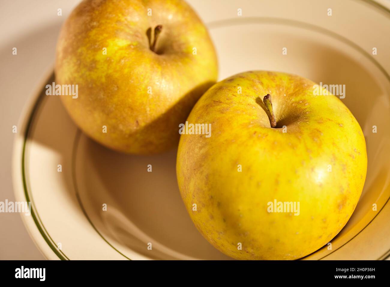 Roxbury Russet, an heirloom apple variety. Stock Photo