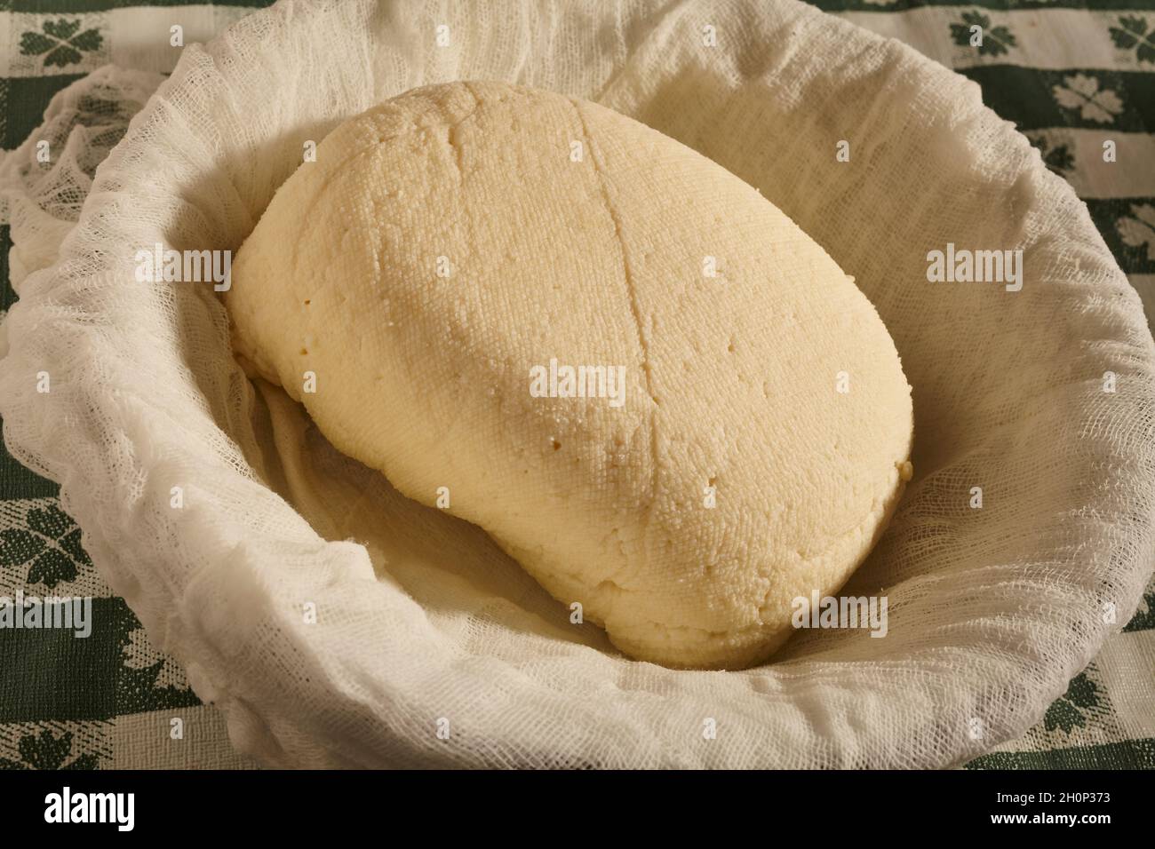 A freshly made piece of Amish Vinegar Cheese. sometimes called Farmer Cheese Stock Photo