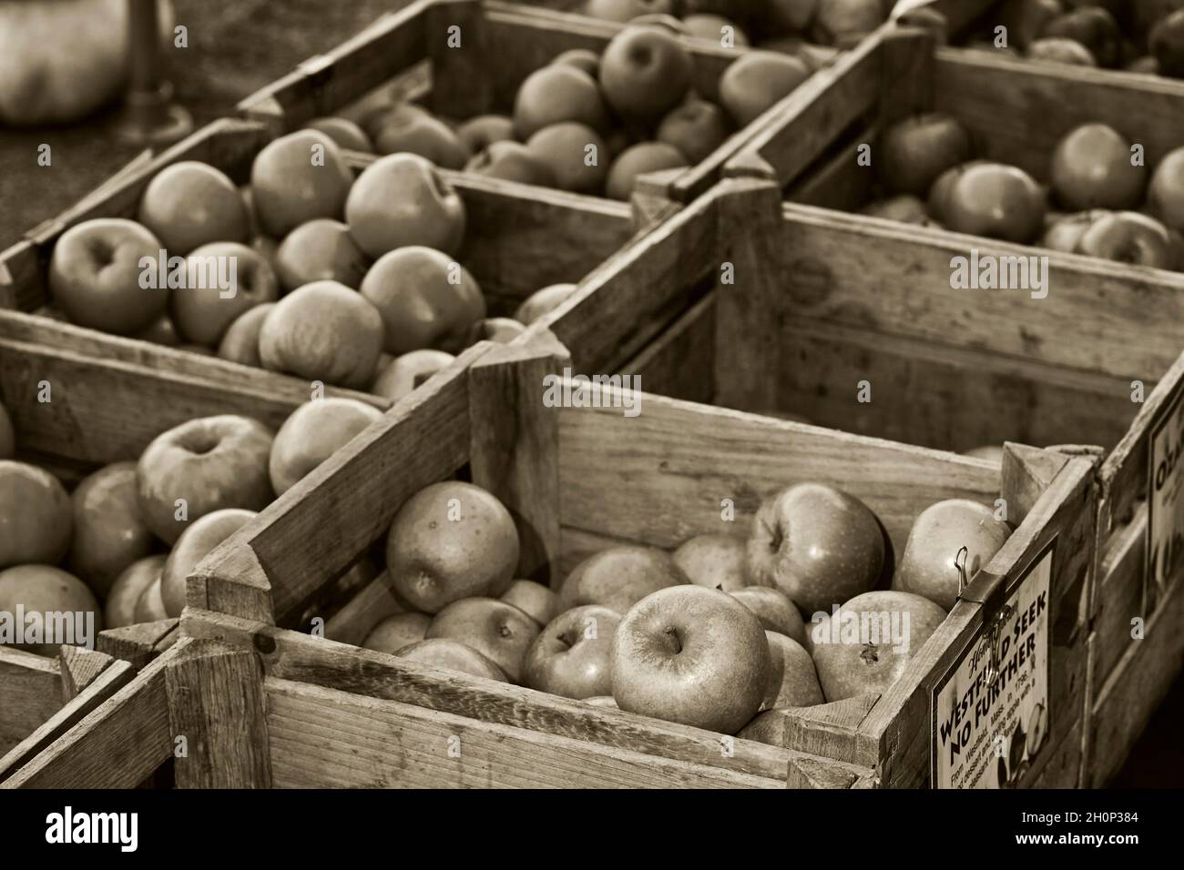 Crates of recently harvested apples at a farm market in Amish Country, Lancaster County, Pennsylvania, USA Stock Photo