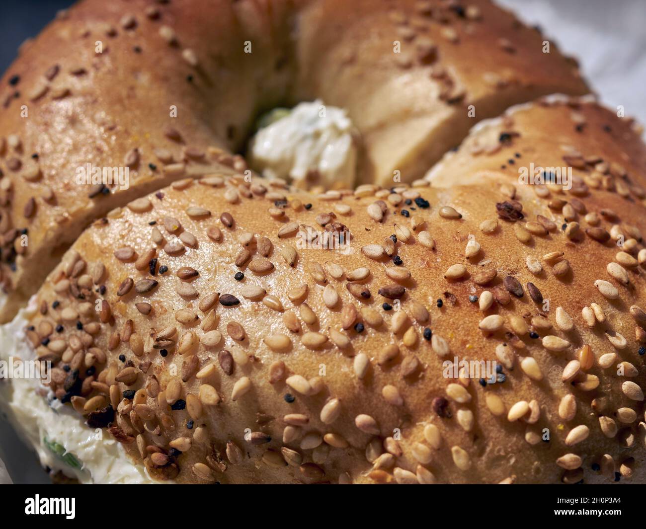 An everything bagel with scallion cream cheese served in Queens County