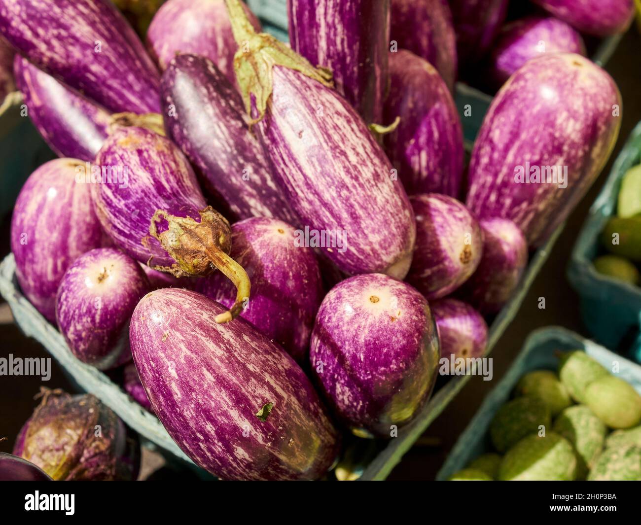 Fairy Eggplants at the Greenmarket, Jackson Heights, Queens, New York City, NY, USA Stock Photo