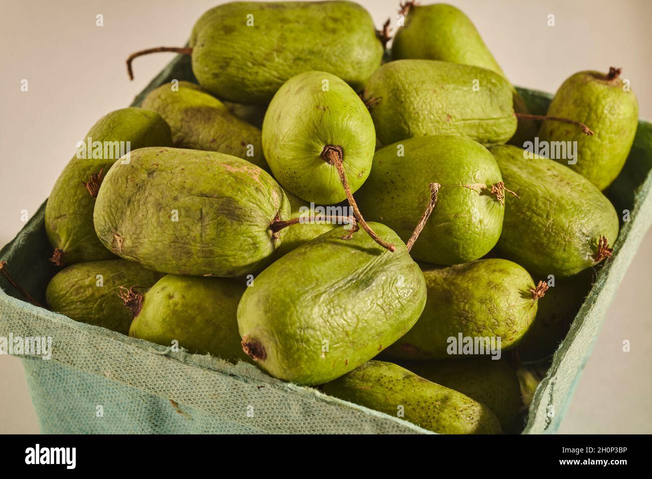 A one pint punnet of kiwi berries grown in Lancaster, Pennsylvania, USA Stock Photo