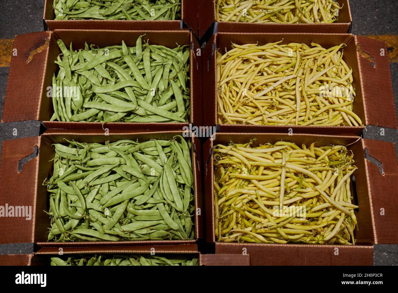 Boxes of string beans for sale at the Leola Produce Auction in Amish