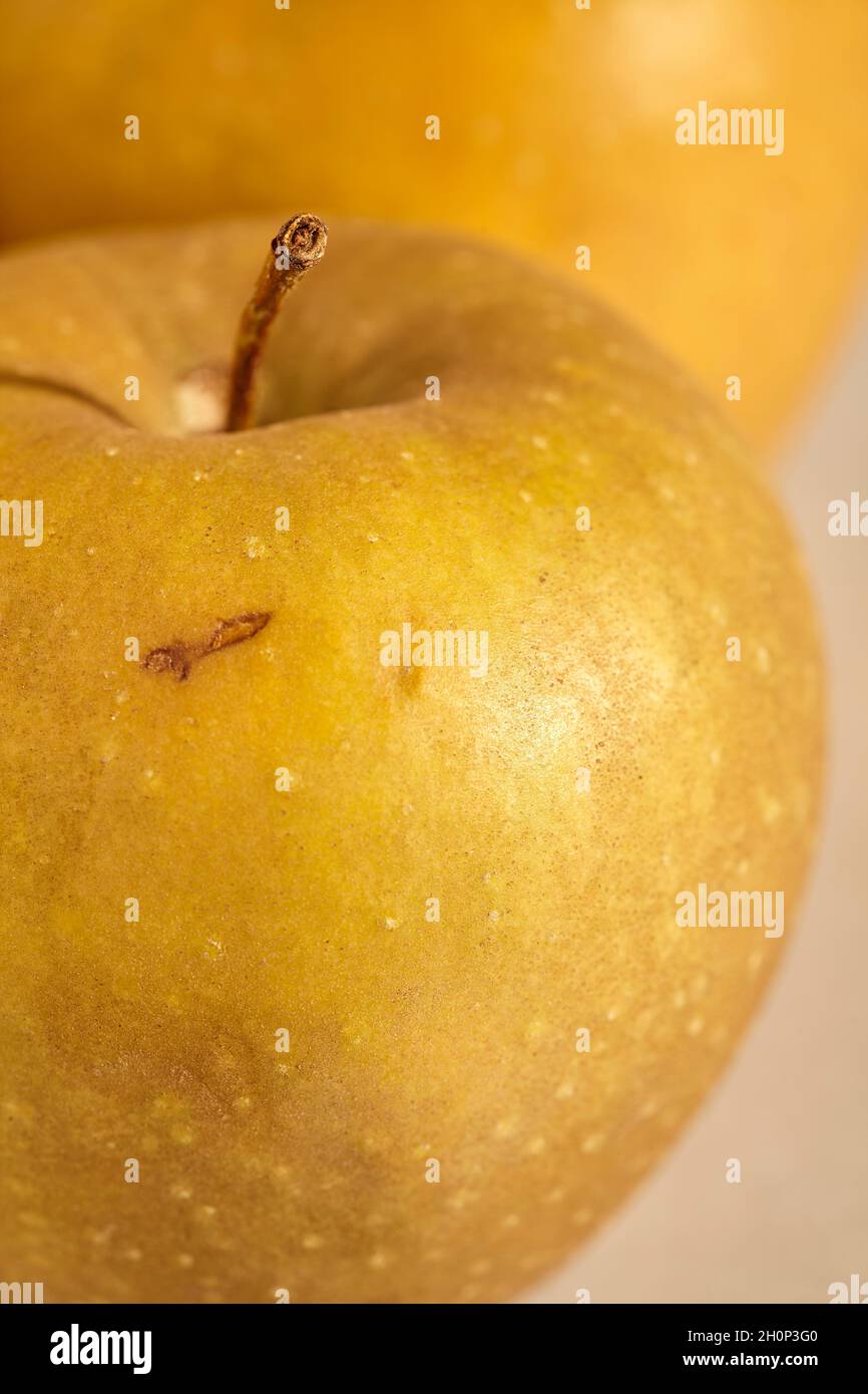 Russets hires stock photography and images Alamy