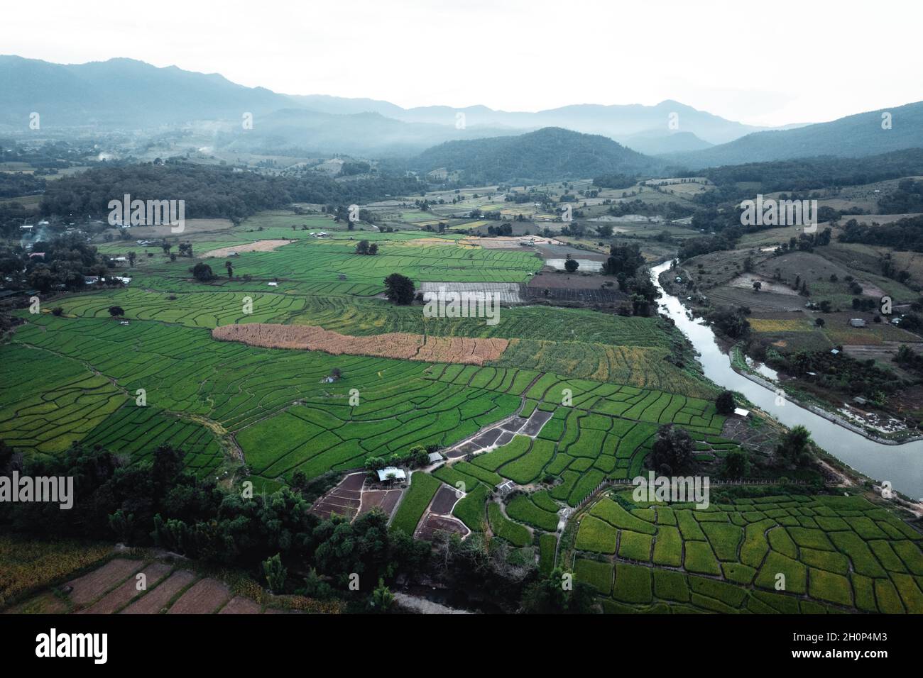 Green rice fields in the rainy season In the countryside Stock Photo ...