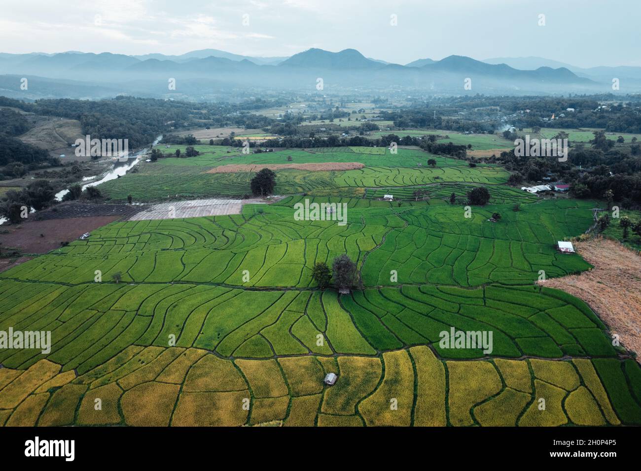 Green rice fields in the rainy season In the countryside Stock Photo ...
