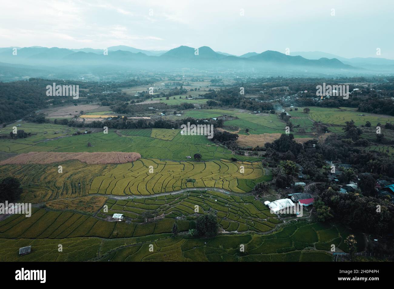 Green rice fields in the rainy season In the countryside Stock Photo ...