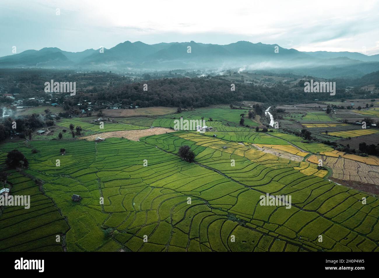 Green rice fields in the rainy season In the countryside Stock Photo ...