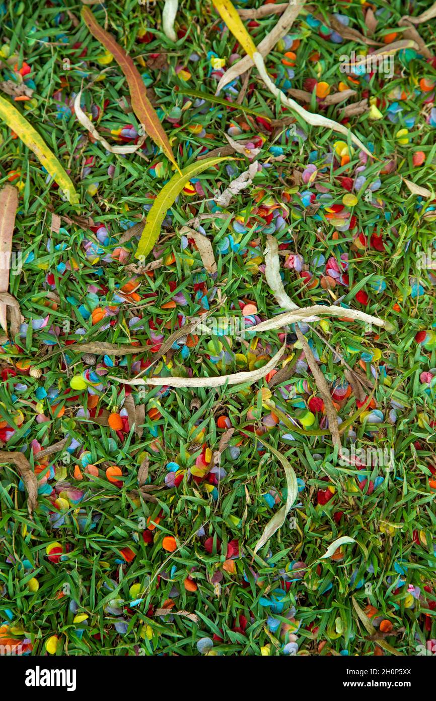Confetti on grass lawn. Stock Photo