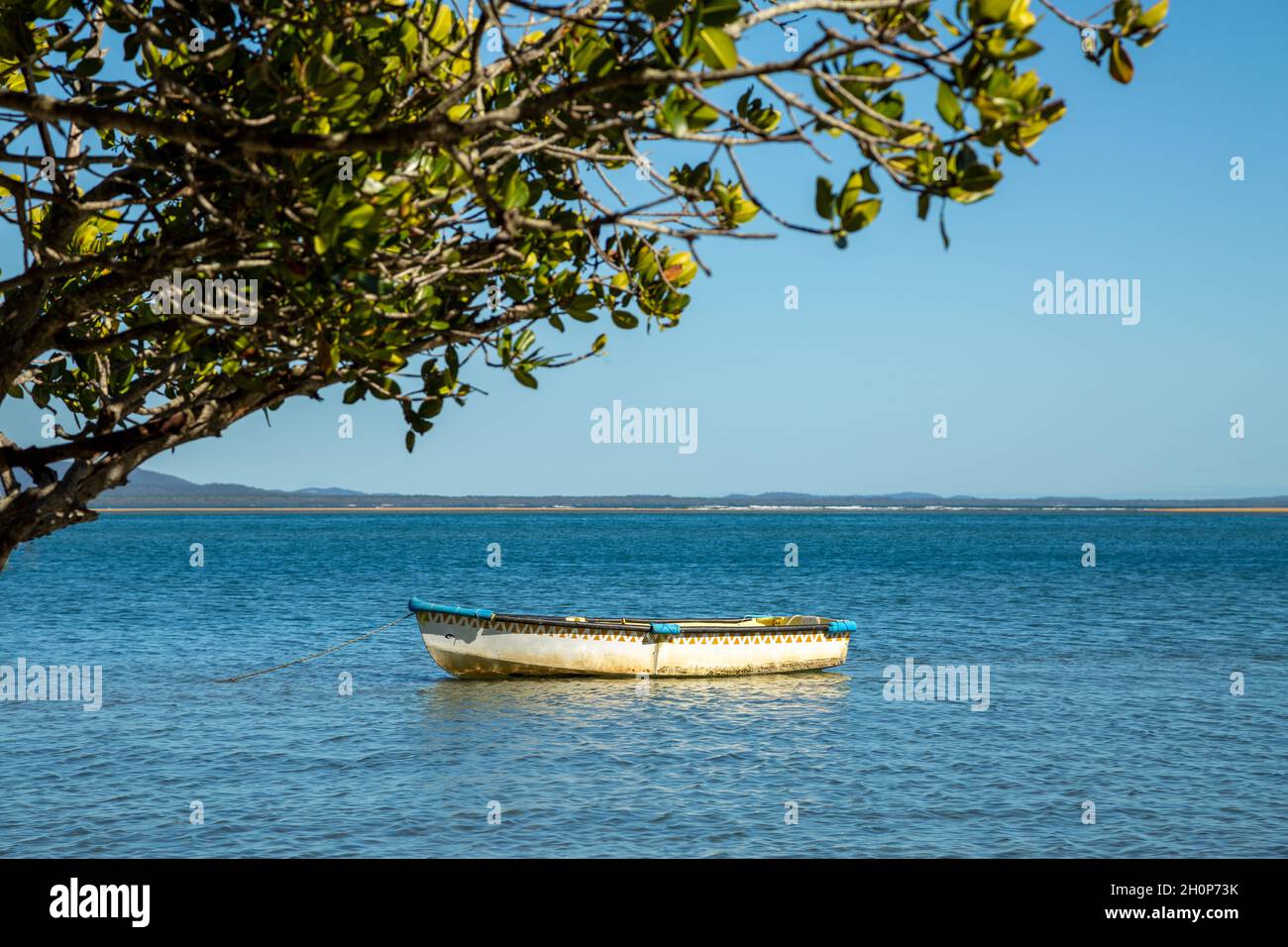 Row boat dinghy anchored under a tree. Stock Photo