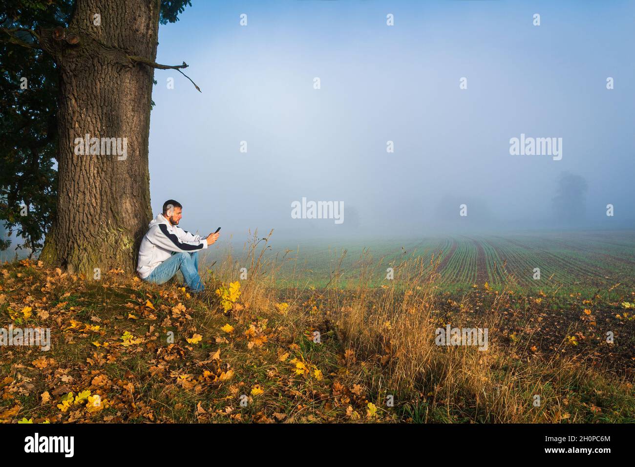 Man sitting under tree reading hi-res stock photography and images - Alamy