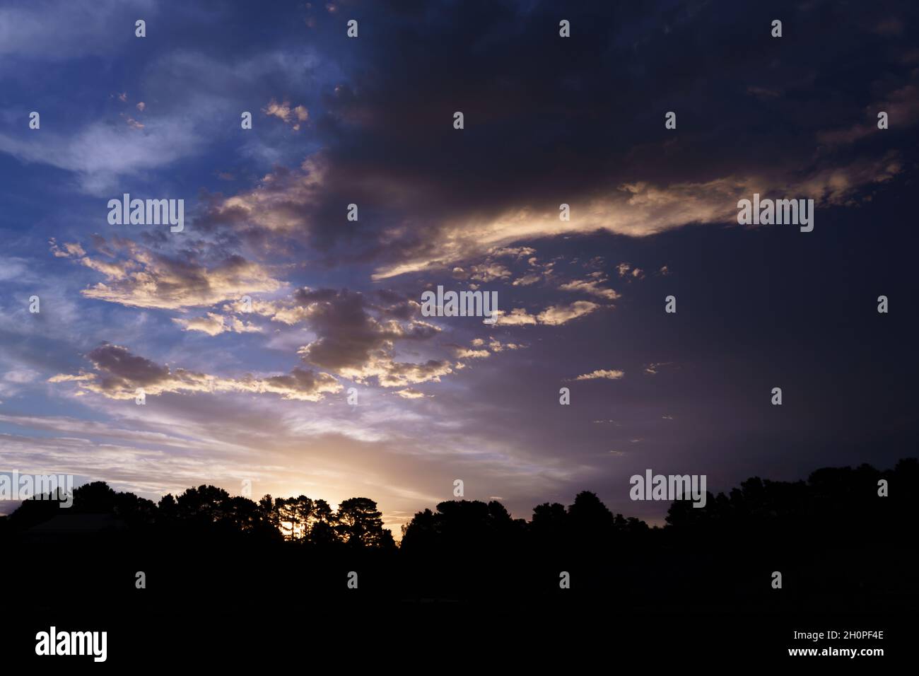 Majestic sunset over Australian forest in purple Stock Photo - Alamy